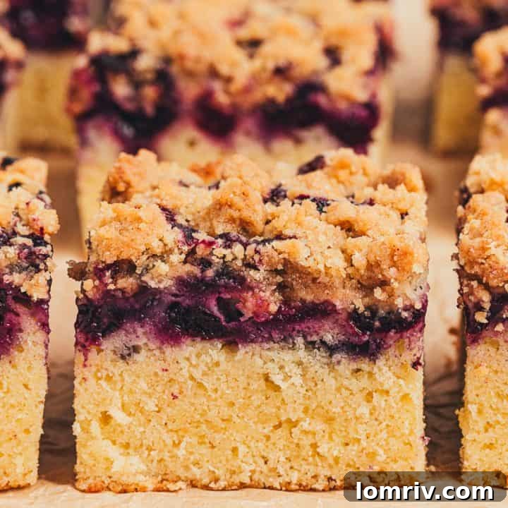 A delicious Blueberry Crumb Cake with a golden streusel topping and jammy fruit layer.