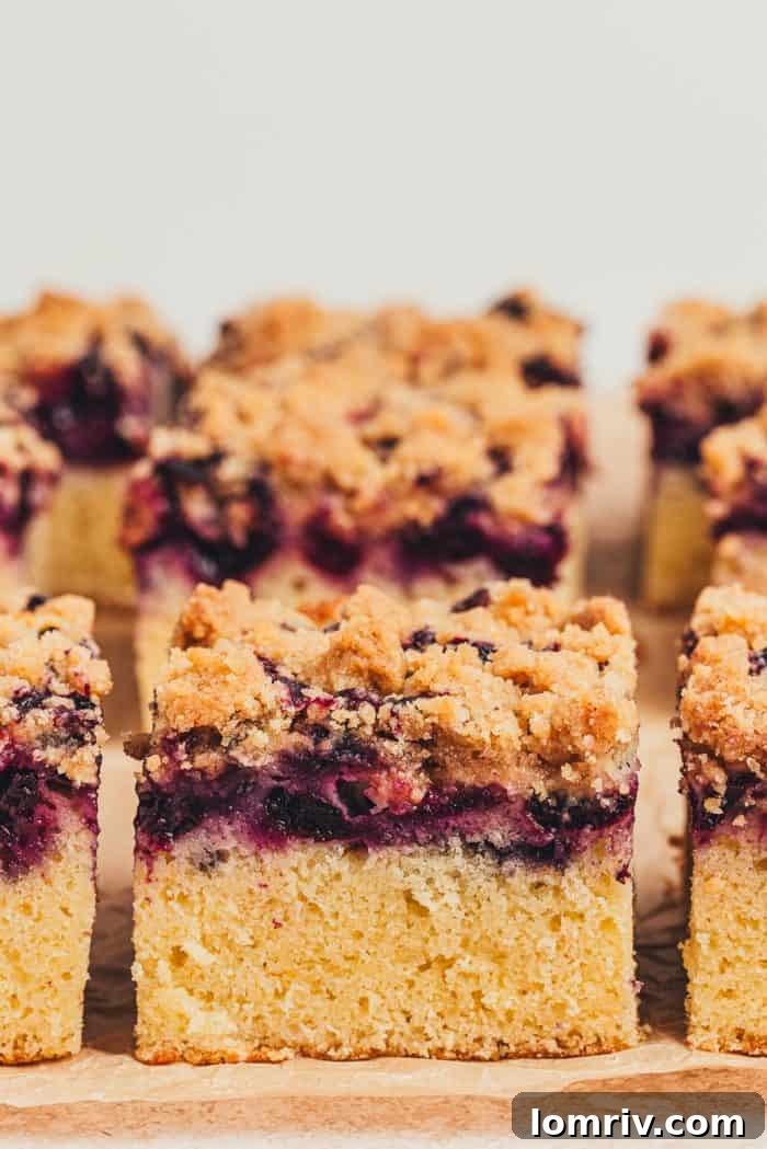 Six delicious slices of blueberry crumb cake, highlighting the crumbly topping and moist interior.