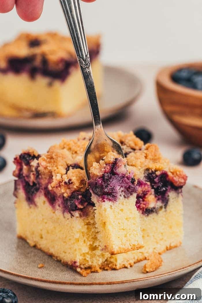 Blueberry crumb cake slice on a small plate with a fork poised to take a bite, highlighting its tempting texture.