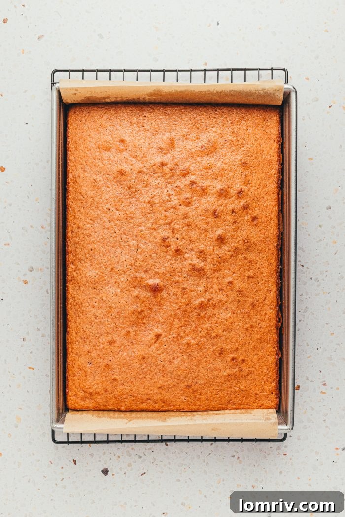 A freshly baked strawberry sheet cake, golden brown and perfectly risen, cooling on a wire rack