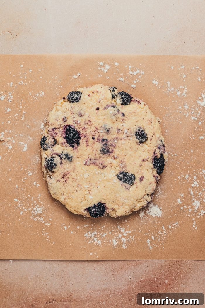 A round disc of blackberry scone dough ready for cutting.