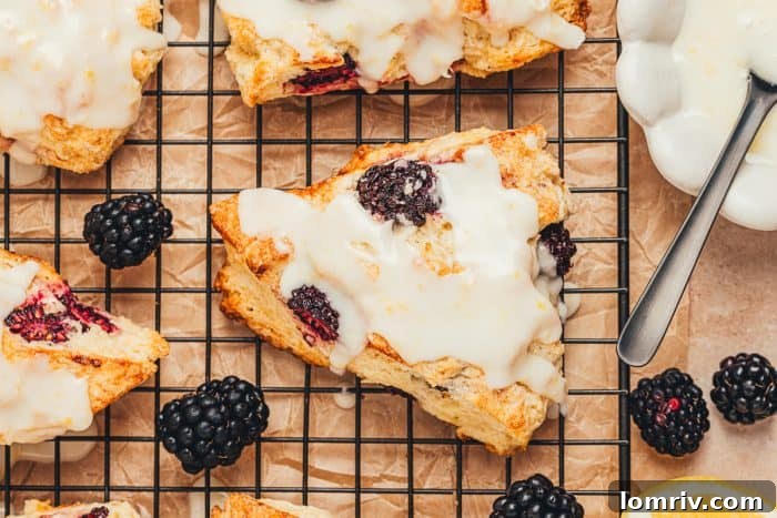 Glazed blackberry scones beautifully arranged on a cooling rack, showcasing their golden-brown crust.