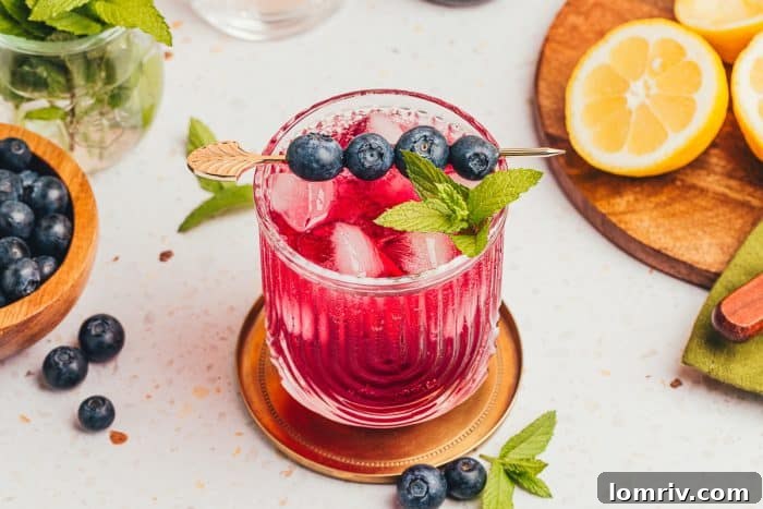 A single glass of blueberry gin fizz, showing the beautiful presentation and refreshing qualities.