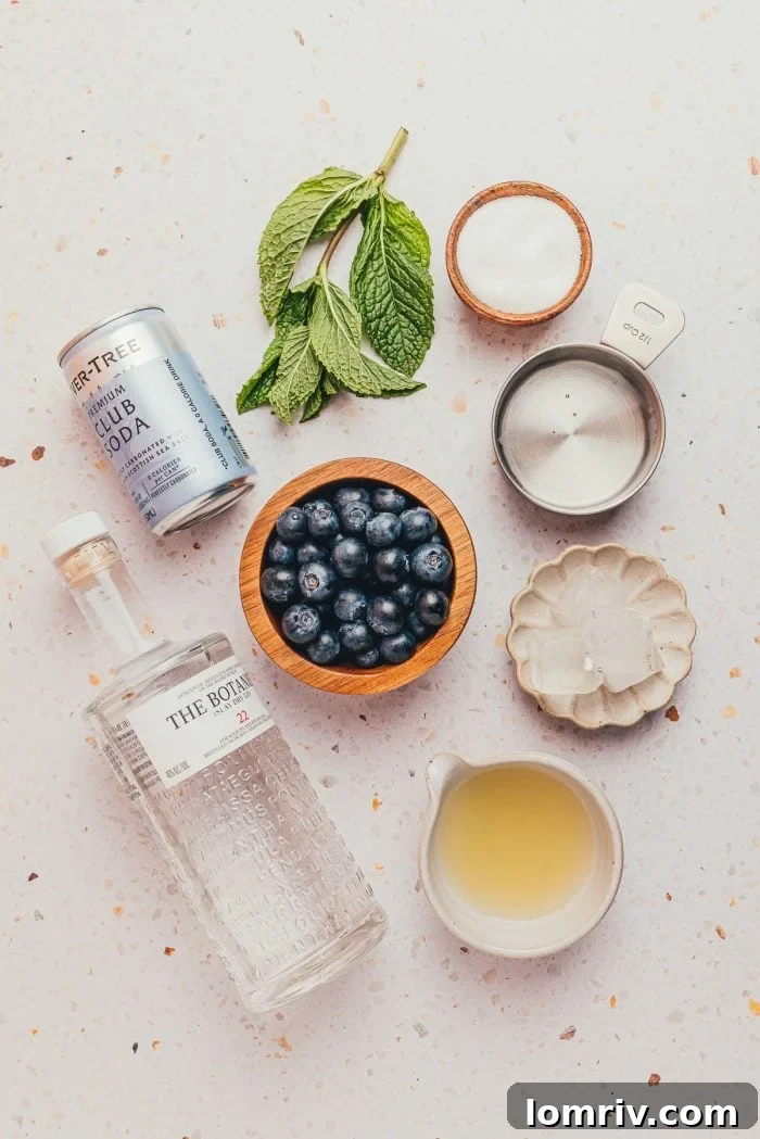 A flat lay photograph showing all the ingredients required to make a blueberry gin fizz, including fresh blueberries, lemon, gin, and club soda.