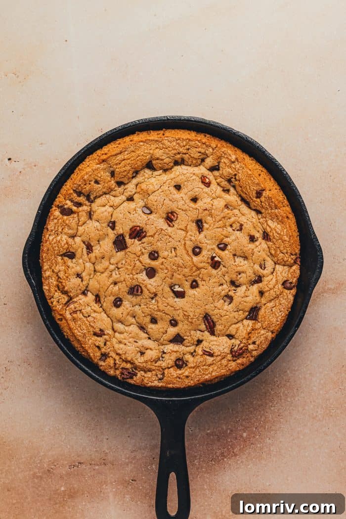 Cooled chocolate chip pecan skillet cookie.