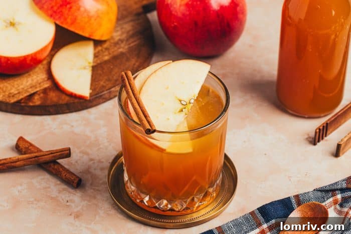 A single glass of Apple Cider Old Fashioned, perfectly garnished, standing as a testament to seasonal cocktail artistry.