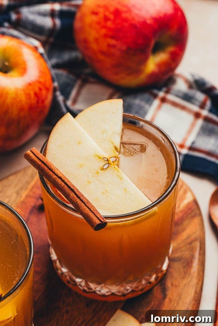A refreshing Apple Cider Old Fashioned drink, perfectly crafted for a cozy autumn evening.