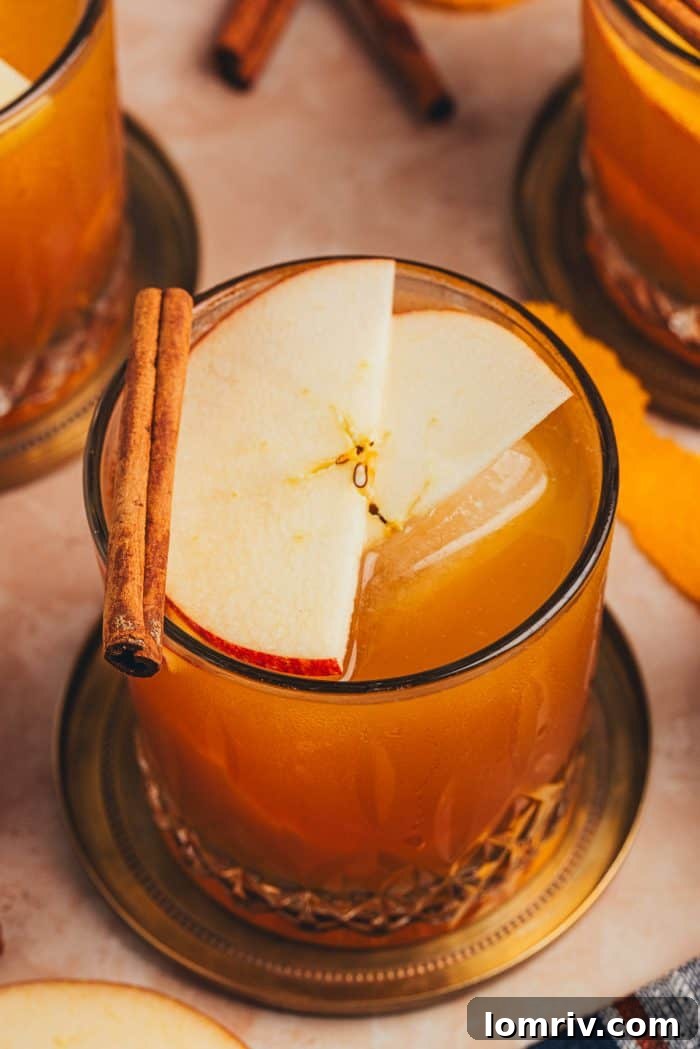 An Old Fashioned glass filled with the autumn-inspired Apple Cider Old Fashioned, garnished and ready.