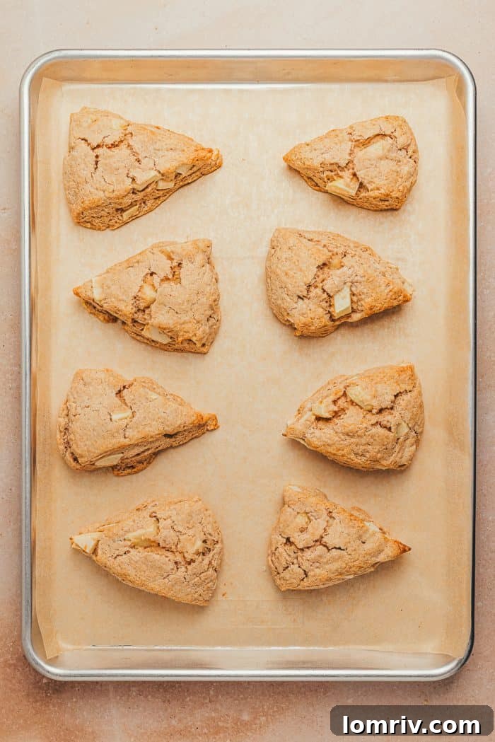 A baking tray with baked cinnamon apple scones. 