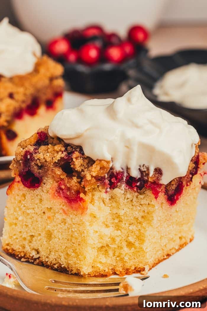 A close-up shot of a single slice of cranberry crumb cake, showcasing the layers and texture, with a generous swirl of whipped maple creme fraiche on top.