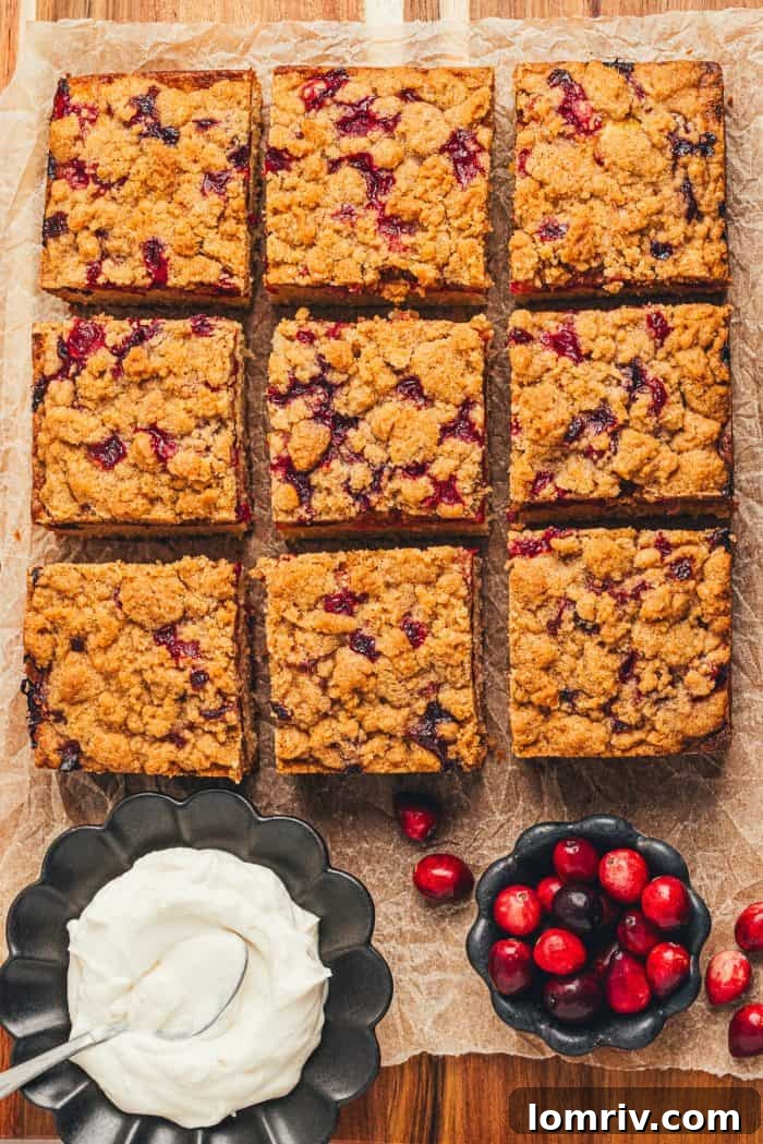 An overhead view of a freshly baked cranberry crumb cake, neatly sliced, accompanied by a bowl of creamy creme fraiche and a scattering of fresh cranberries.
