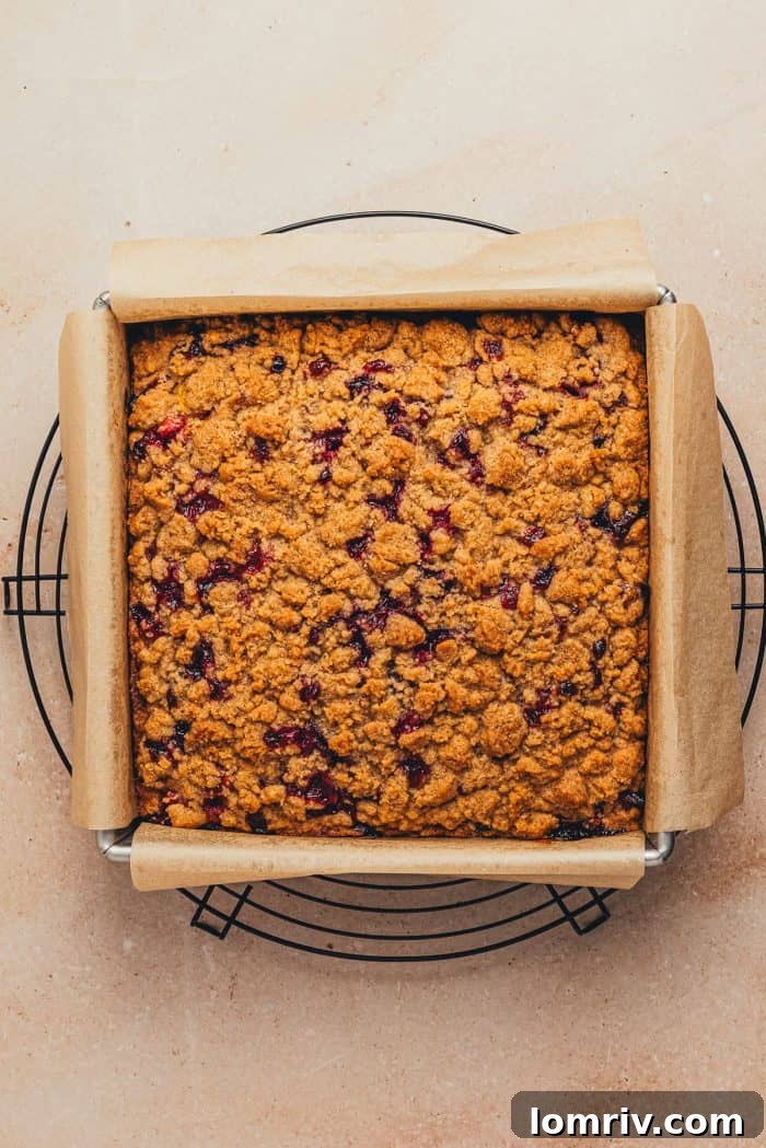 The freshly baked cranberry crumb cake, golden-brown and streusel-topped, cooling on a wire rack.