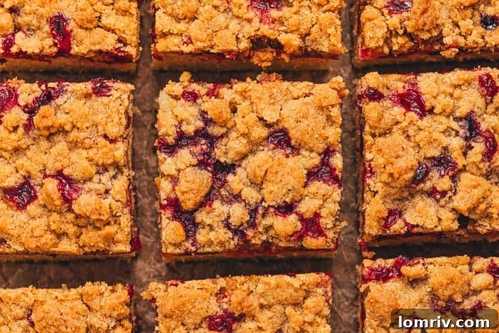 A beautiful top-down view of several slices of cranberry crumb cake, highlighting the crisp streusel topping and the warm, inviting colors.