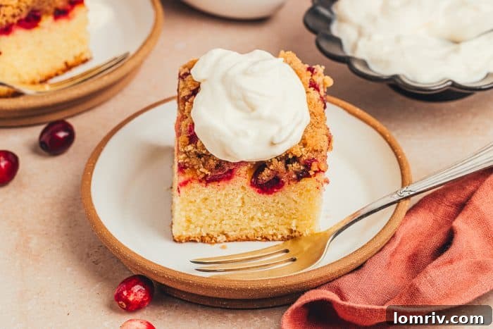 A single slice of cranberry crumb cake, elegant and inviting, presented on a small dessert plate with a fork.
