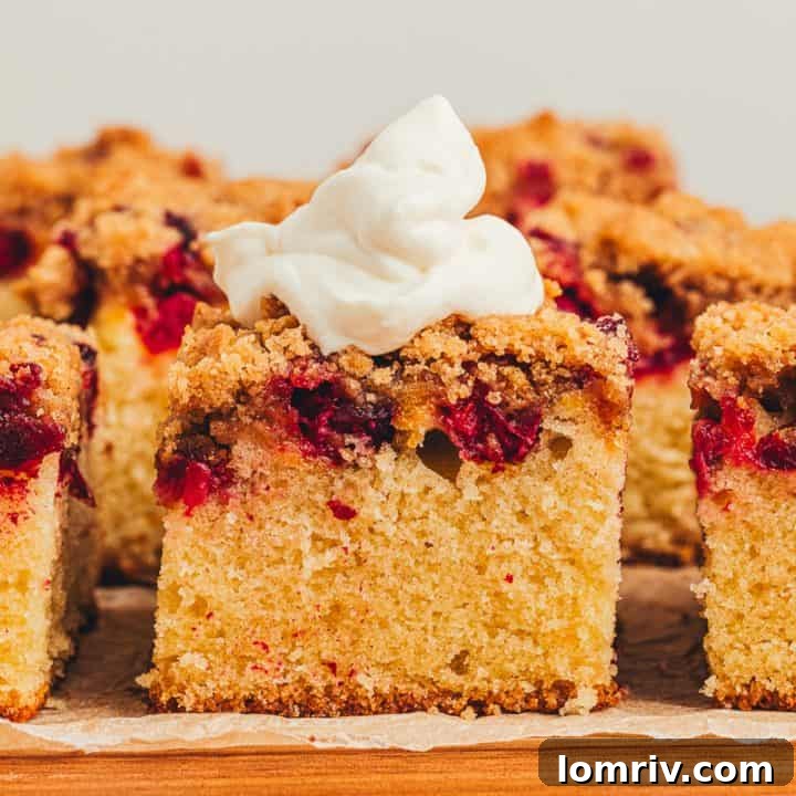 A final, enticing close-up of a slice of cranberry crumb cake with whipped cream, ready to be enjoyed.