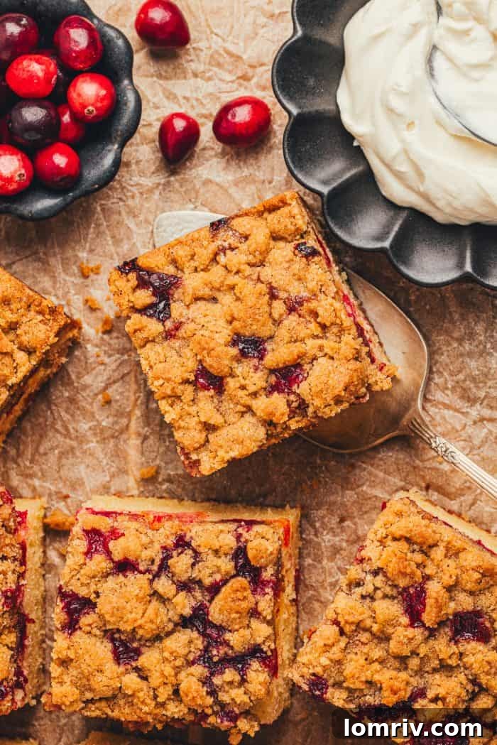 Close-up overhead shot of a perfectly sliced cranberry crumb cake, showcasing its crumbly topping, moist cake, and juicy cranberry layers.