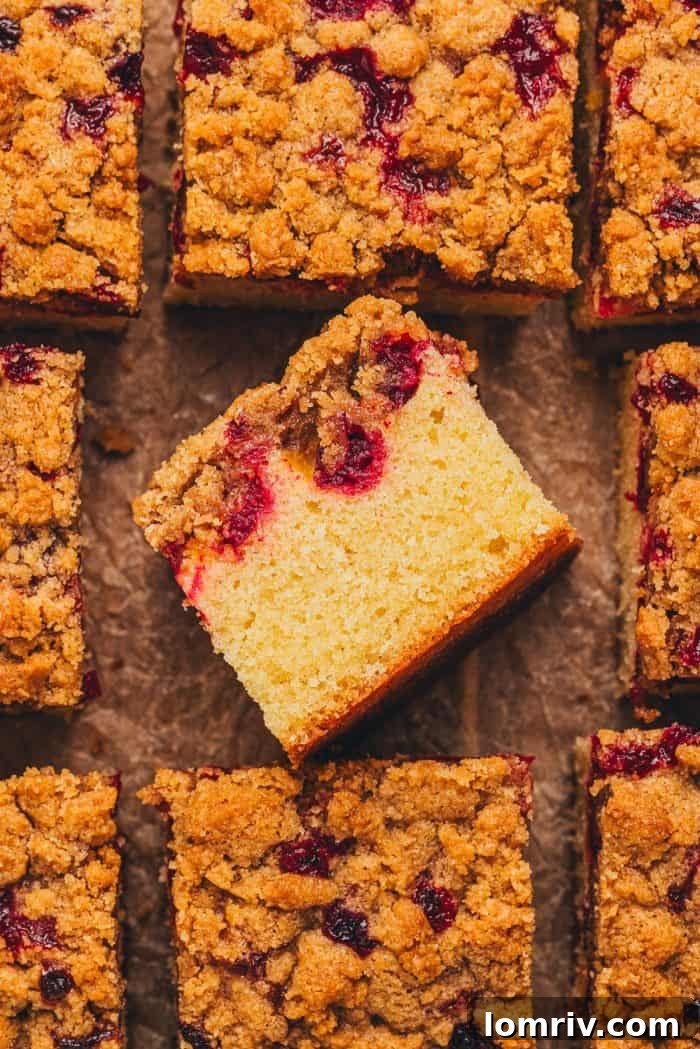 A slice of cranberry crumb cake turned on its side, revealing the distinct layers of crisp streusel topping, a vibrant cranberry filling, and a fluffy cake base.