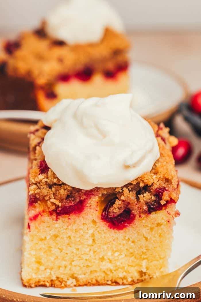 A close-up of a slice of cranberry crumb cake on a delicate dessert plate with a silver fork resting beside it, highlighting its texture.