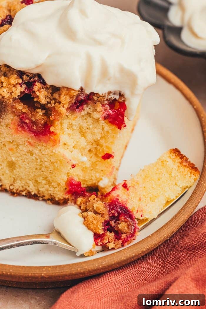 A tantalizing close-up of a slice of cranberry crumb cake, showing the fluffy cake, vibrant cranberries, and crunchy streusel, topped with a dollop of whipped creme fraiche.