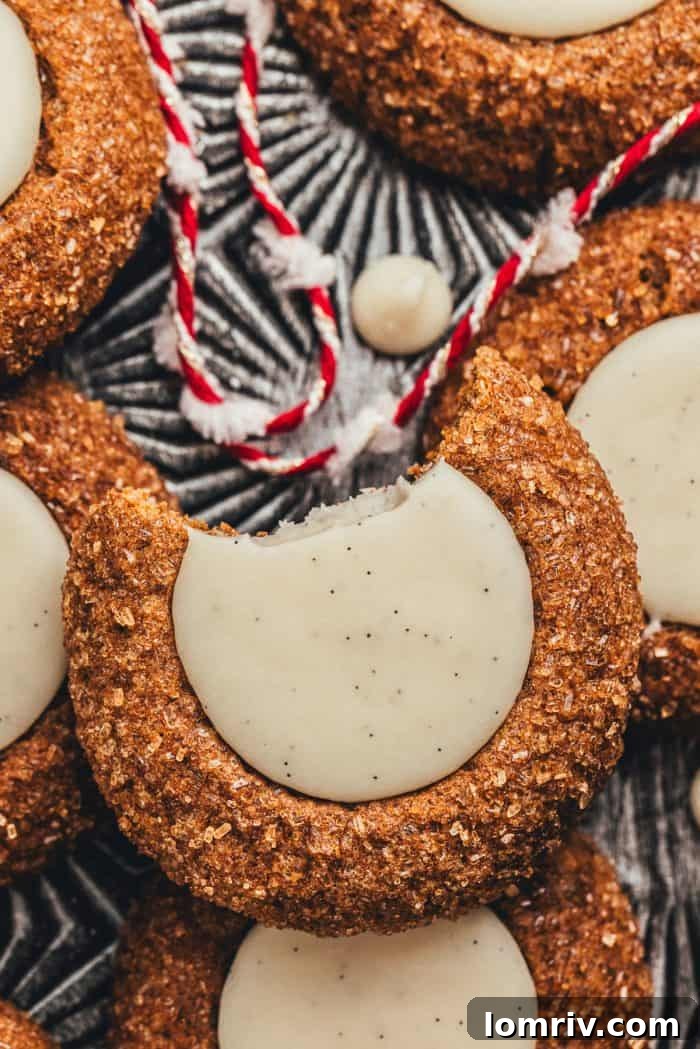 A platter with a variety of gingerbread thumbprint cookies, one has a bite taken out of it, and red and white string.