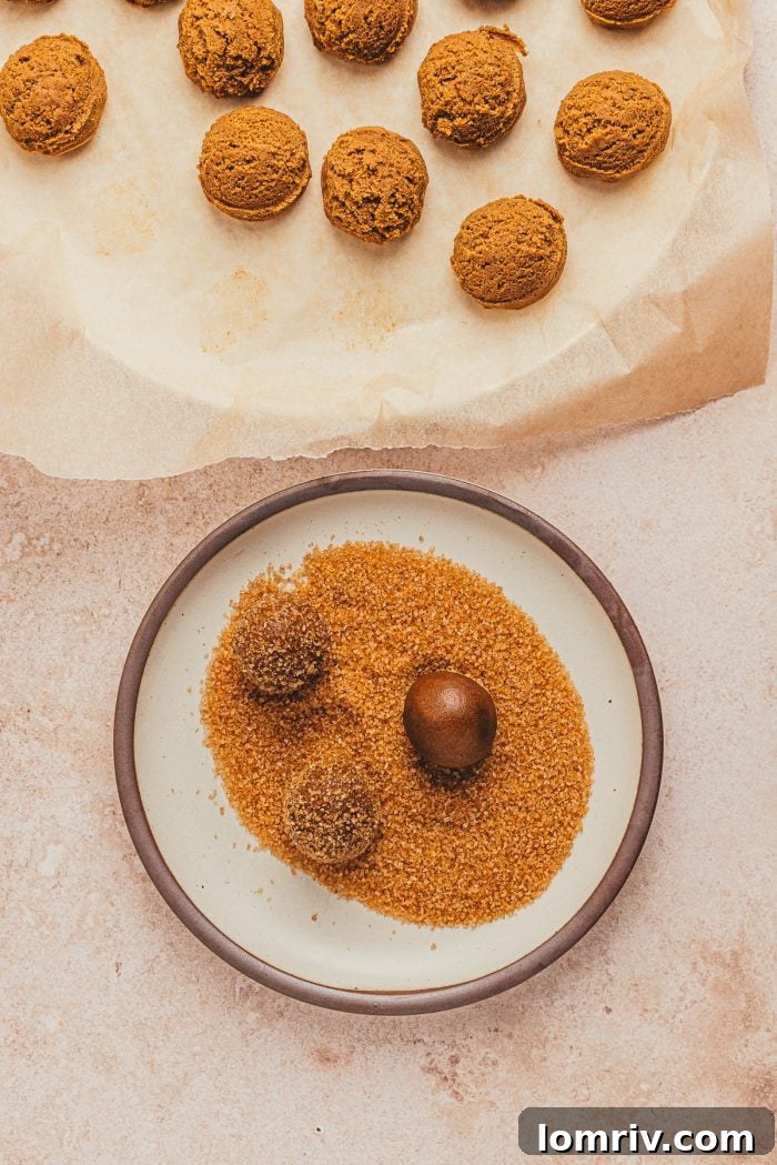 Balls of gingerbread thumbprint cookie dough rolled in sugar.
