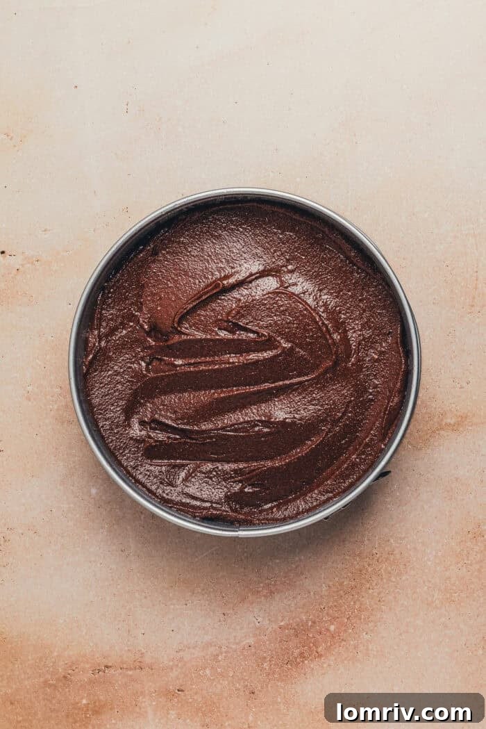 The rich, thick chocolate ricotta cake batter is expertly poured into the prepared 9-inch round springform pan, ready for baking.