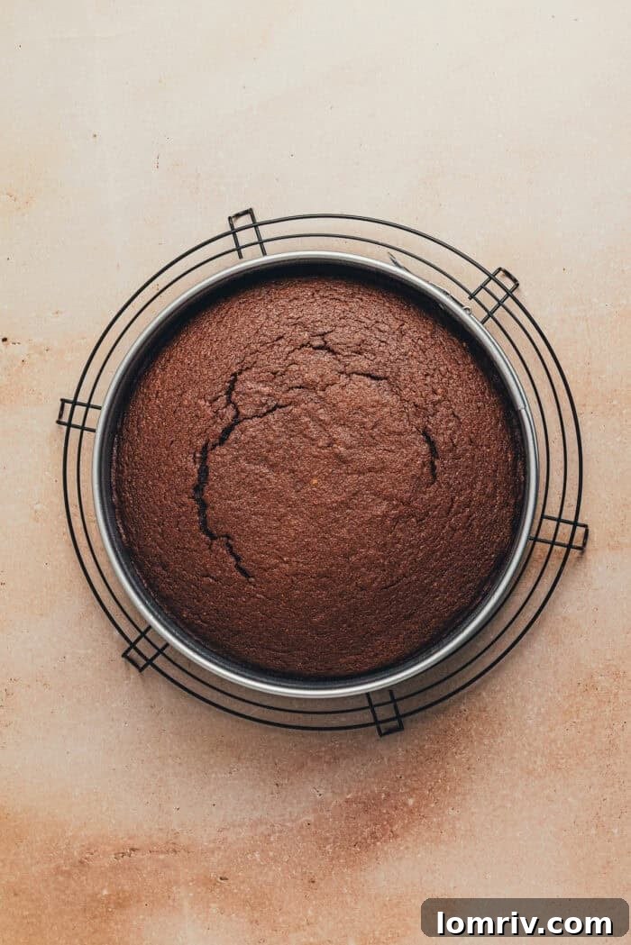 The freshly baked chocolate ricotta cake, still in its springform base, resting on a wire rack to cool down after coming out of the oven.