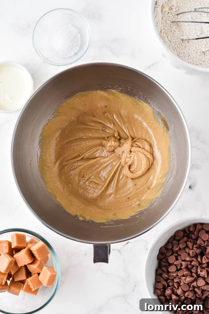 Mixing dry ingredients into cookie dough