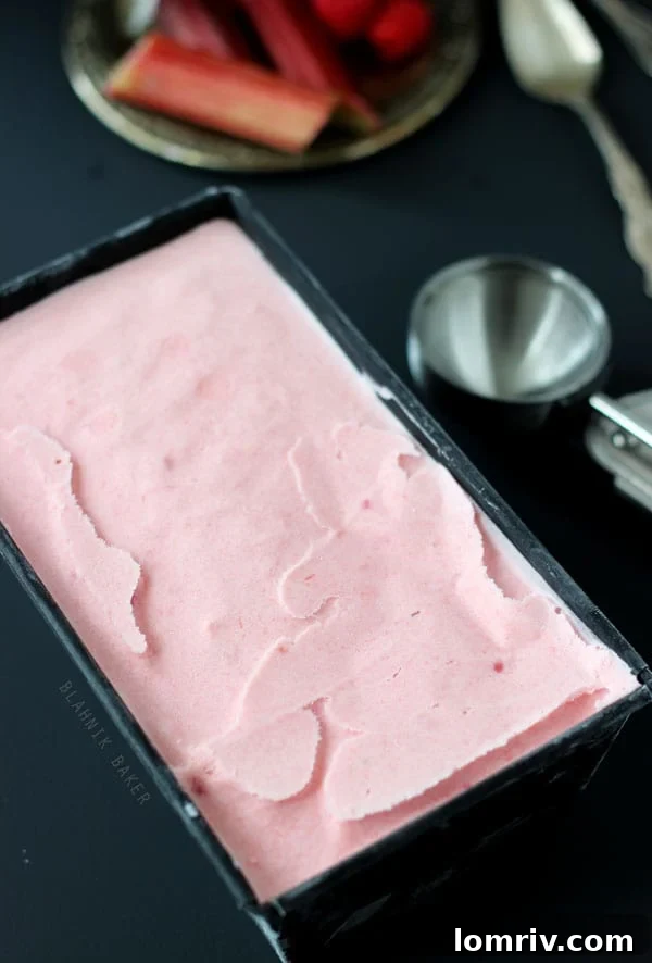 Coconut Raspberry Rhubarb Ice Cream - Side View