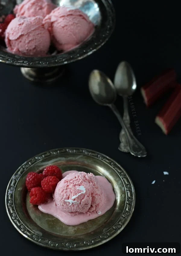 Coconut Raspberry Rhubarb Ice Cream - Closeup