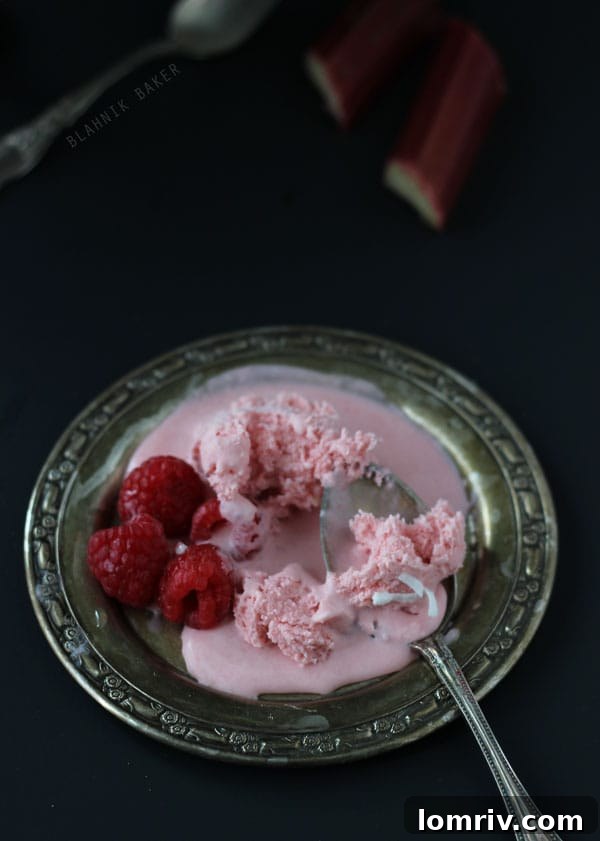 Coconut Raspberry Rhubarb Ice Cream - Overhead