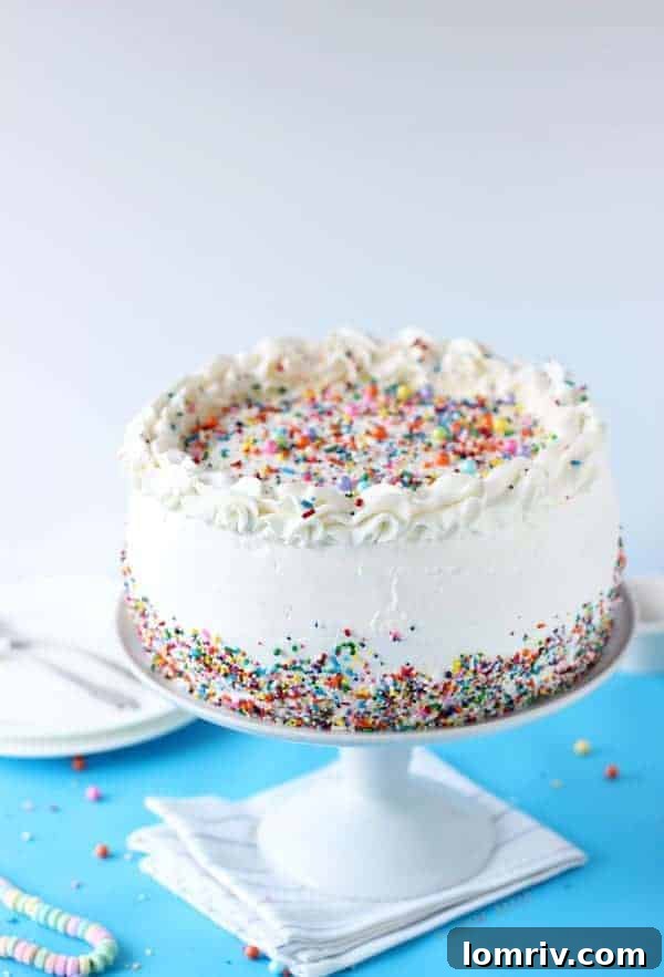 Delicious Homemade Birthday Ice Cream Cake with Colorful Sprinkles