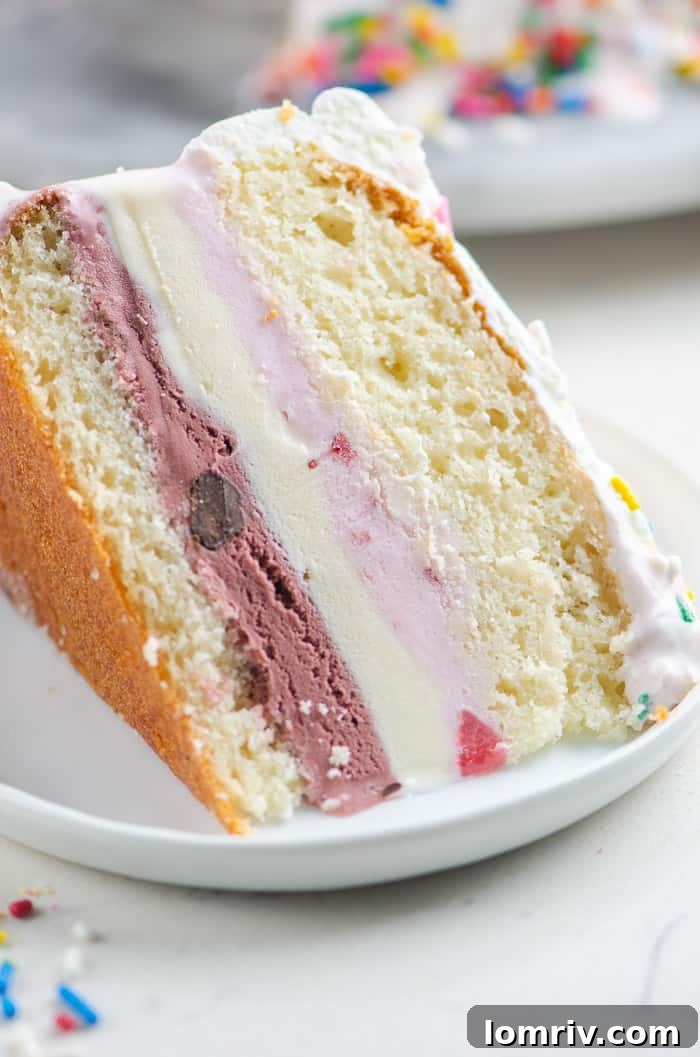 Beautifully decorated Birthday Ice Cream Cake with festive sprinkles