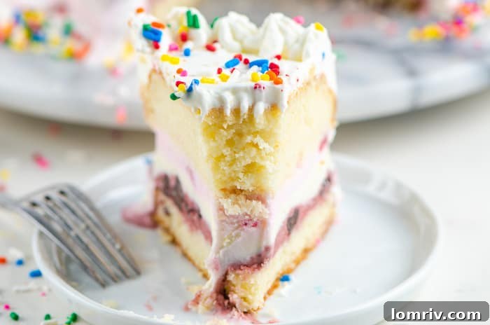 Freshly Made Birthday Ice Cream Cake, perfectly chilled and ready to serve