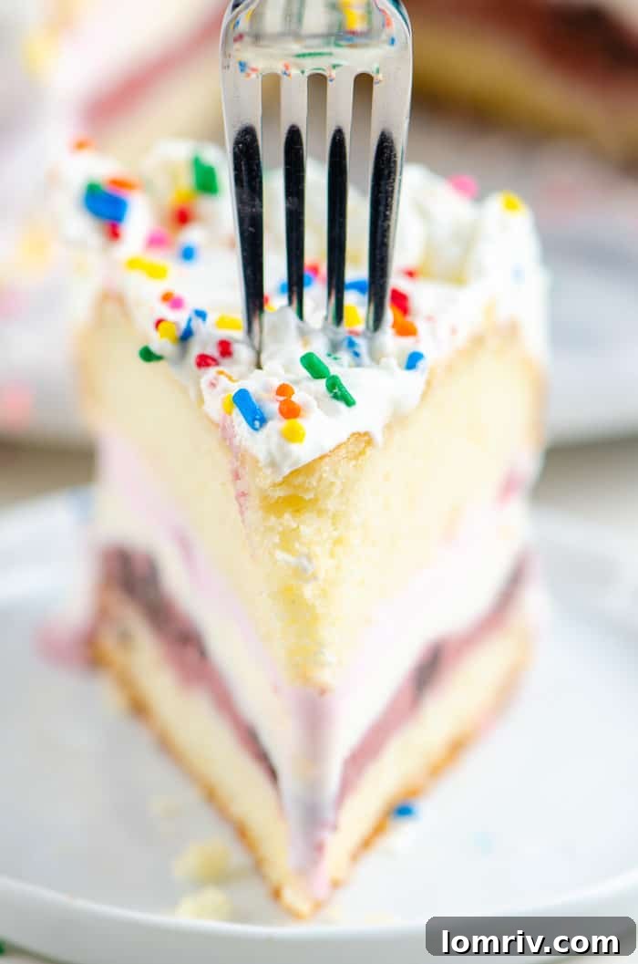 Layers of fluffy vanilla cake and rich berry ice cream visible in a slice of birthday cake