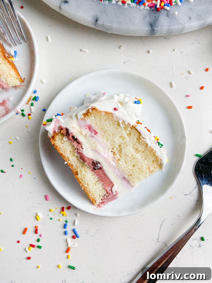 Decorated Homemade Birthday Ice Cream Cake with candles, ready for celebration