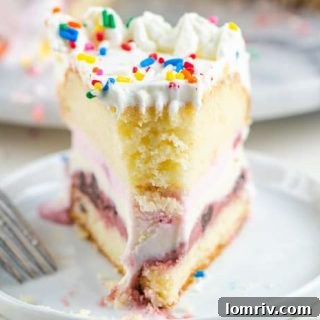 Birthday Ice Cream Cake