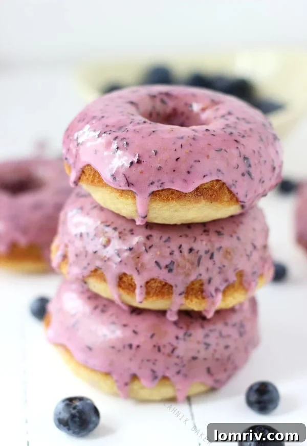 Soft and moist blueberry baked donuts