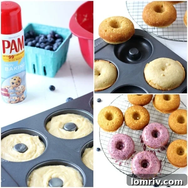 Blueberry Baked Donuts close up