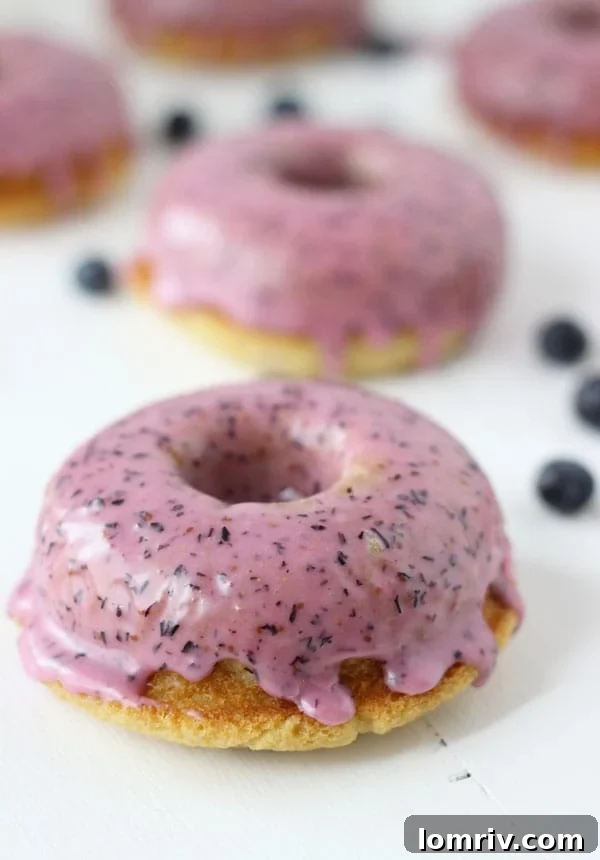 Plated Blueberry Baked Donuts