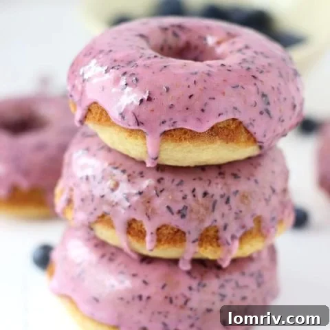 Blueberry Baked Donuts