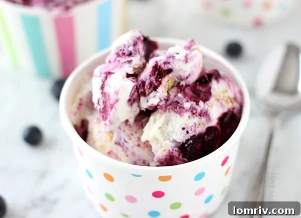 Blueberry Cheesecake Ice Cream