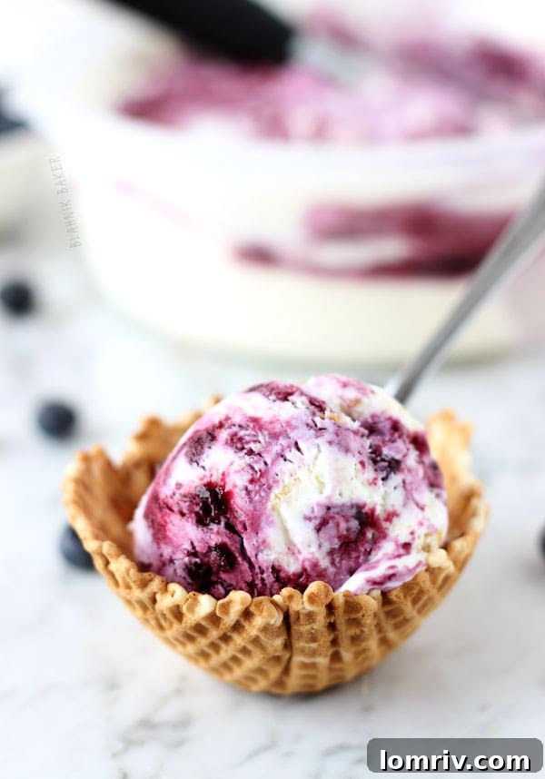 Blueberry Cheesecake Ice Cream