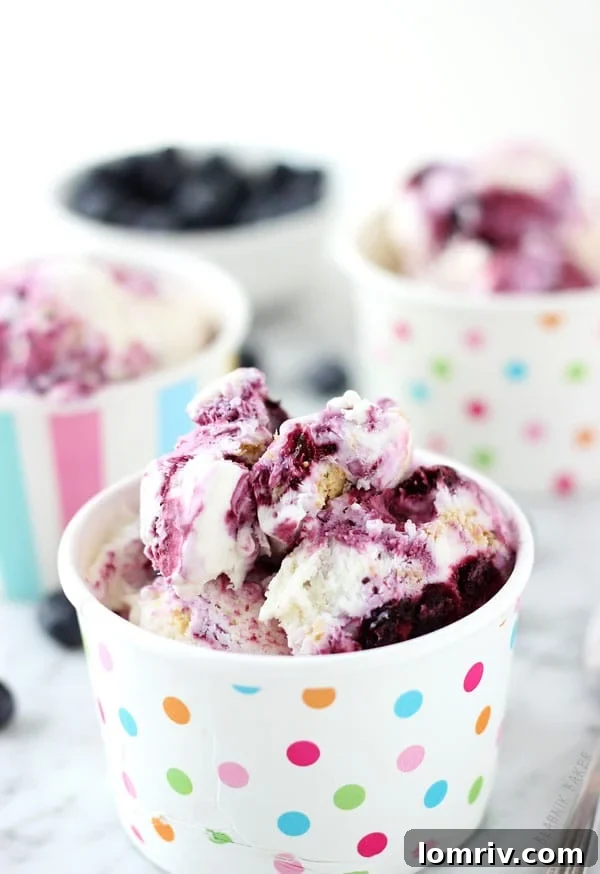 Blueberry Cheesecake Ice Cream
