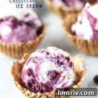 Blueberry Cheesecake Ice Cream