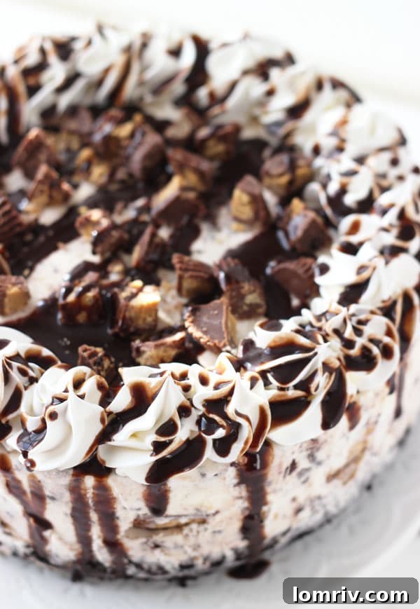 Decadent Peanut Butter Chocolate Ice Cream Cake with chocolate drizzle and peanut butter cup garnish