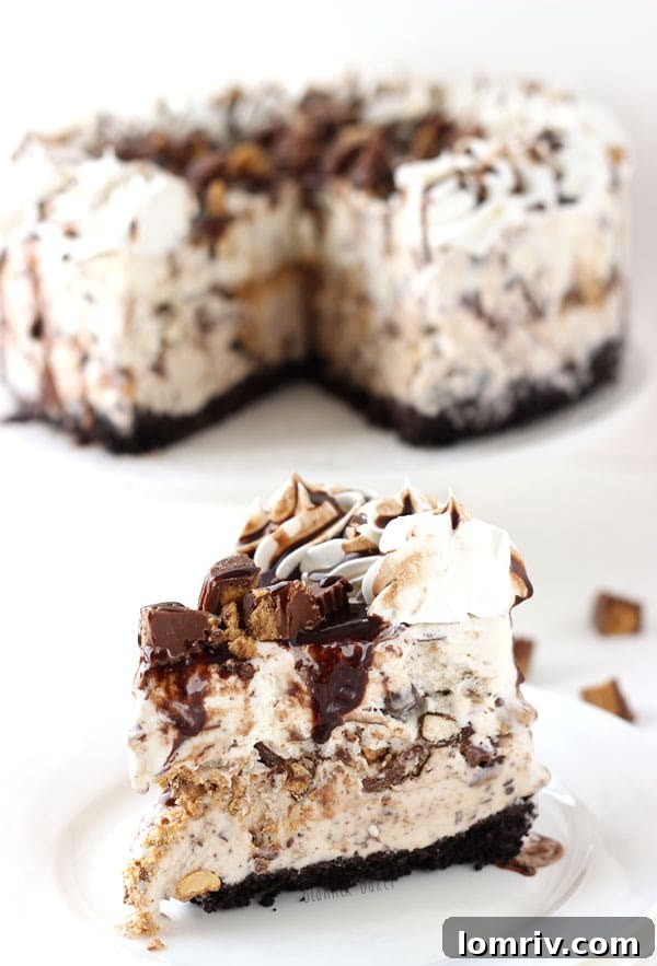 Close-up of a slice of Peanut Butter Chocolate Ice Cream Cake, showing layers