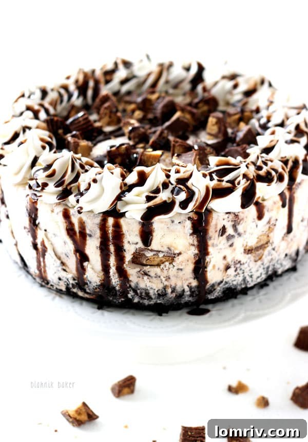 Peanut Butter Chocolate Ice Cream Cake, garnished with whipped cream and peanut butter cups