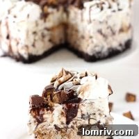 Peanut Butter Ice Cream Cake recipe image
