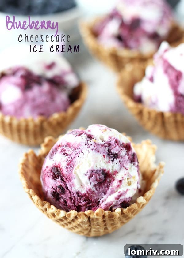 Vibrant Blueberry Cheesecake Ice Cream